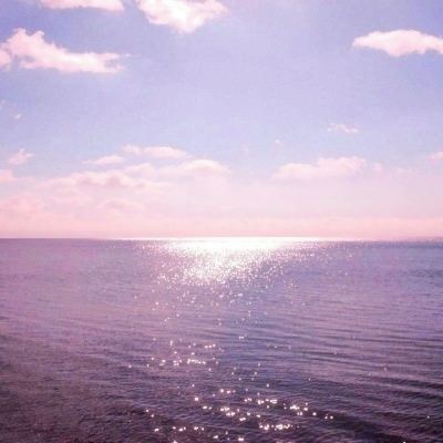 乐鱼app官网正式版下载手机app下载