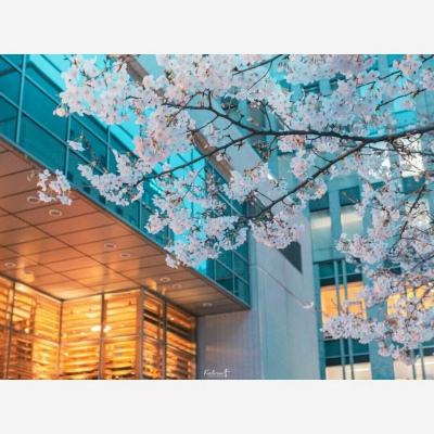 AG大厅网址手机app下载截图