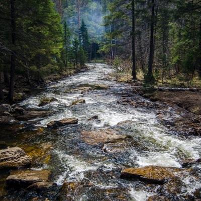 leyu乐鱼·体育手机app下载